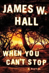 Produktbild: Hall, J: When You Can't Stop