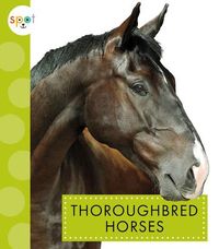 Produktbild: Thoroughbred Horses