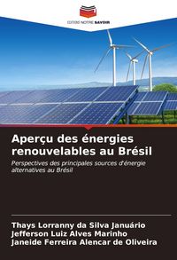 Produktbild: Aper&ccedil;u des &eacute;nergies renouvelables au Br&eacute;sil