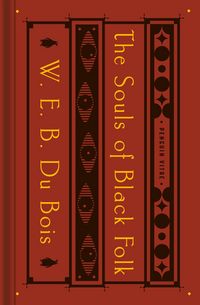 Produktbild: The Souls of Black Folk