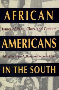Produktbild: African Americans in the South