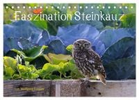 Produktbild: Faszination Steinkauz (Tischkalender 2026 DIN A5 quer), CALVENDO Monatskalender