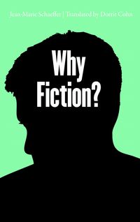 Produktbild: Why Fiction?