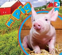 Produktbild: My Pig