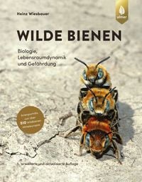 Bild vom Artikel Wilde Bienen vom Autor Heinz Wiesbauer