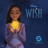 Bild vom Artikel Disney Wish vom Autor Erin Falligant
