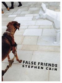Produktbild: False Friends