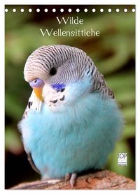 Produktbild: Wilde Wellensittiche (Tischkalender 2026 DIN A5 hoch), CALVENDO Monatskalender