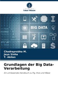 Produktbild: Grundlagen der Big Data-Verarbeitung