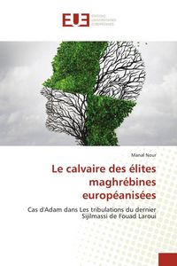 Produktbild: Le calvaire des &eacute;lites maghr&eacute;bines europ&eacute;anis&eacute;es