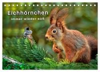 Produktbild: Eichh&ouml;rnchen - immer wieder s&uuml;&szlig; (Tischkalender 2027 DIN A5 quer), CALVENDO Monatskalender