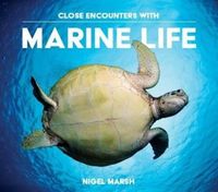 Produktbild: Marsh, N: Close Encounters with Marine Life