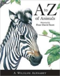 Produktbild: A -Z of Animals