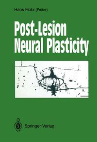 Produktbild: Post-Lesion Neural Plasticity