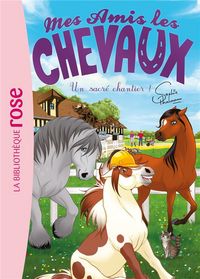 Produktbild: Mes amis les chevaux