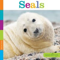 Produktbild: Seals