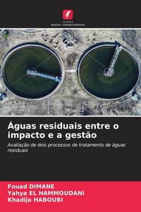 Produktbild: &Aacute;guas residuais entre o impacto e a gest&atilde;o