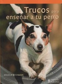 Bild vom Artikel Trucos para enseñar a su perro vom Autor Angela Wegmann