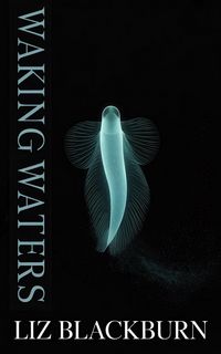 Produktbild: Waking Waters
