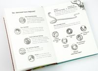 Die Schule der magischen Tiere Band 1