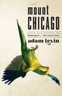 Produktbild: Mount Chicago