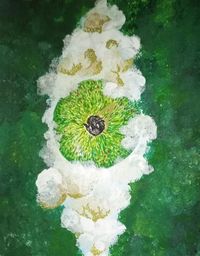 Produktbild: Inedia