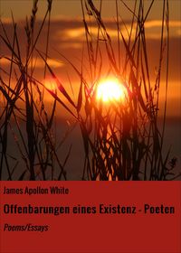 Produktbild: Offenbarungen eines Existenz - Poeten