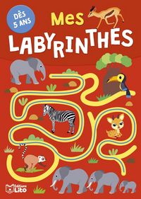 Produktbild: Mes labyrinthes : d&egrave;s 5 ans