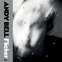 Produktbild: Flicker (Clear Vinyl)