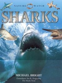 Produktbild: Sharks