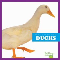 Produktbild: Ducks