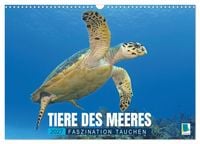 Produktbild: Tiere des Meeres: Faszination Tauchen (Wandkalender 2027 DIN A3 quer), CALVENDO Monatskalender