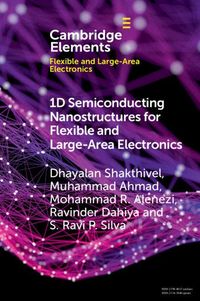 Produktbild: 1D Semiconducting Nanostructures for Flexible and Large-Area Electronics