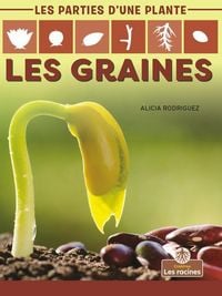 Produktbild: Les Graines (Seeds)