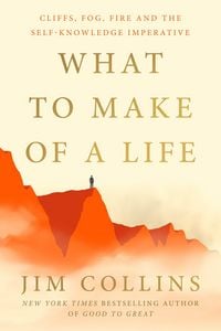 Produktbild: What to Make of a Life