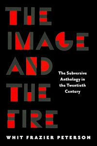 Produktbild: The Image and the Fire