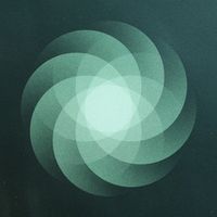 Produktbild: The Shape of Everything