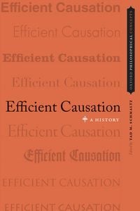 Produktbild: Efficient Causation