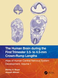 Produktbild: The Human Brain during the First Trimester 3.5- to 4.5-mm Crown-Rump Lengths