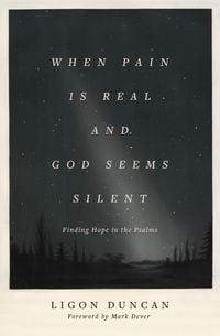 Produktbild: When Pain Is Real and God Seems Silent