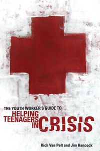 Produktbild: The Youth Worker's Guide to Helping Teenagers in Crisis