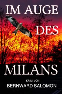 Produktbild: Im Auge des Milans