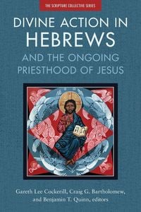 Produktbild: The Divine Action in Hebrews