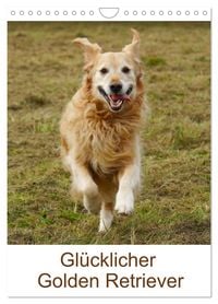 Produktbild: Gl&uuml;cklicher Golden Retriever (Wandkalender 2026 DIN A4 hoch), CALVENDO Monatskalender