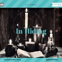 Produktbild: In Hiding