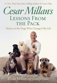 Produktbild: Cesar Millans Lessons from The