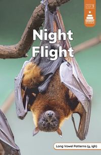 Produktbild: Night Flight