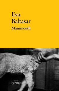 Produktbild: Mammouth