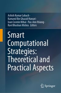 Produktbild: Smart Computational Strategies: Theoretical and Practical Aspects
