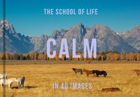 Produktbild: Of Life, T: Calm in 40 Images